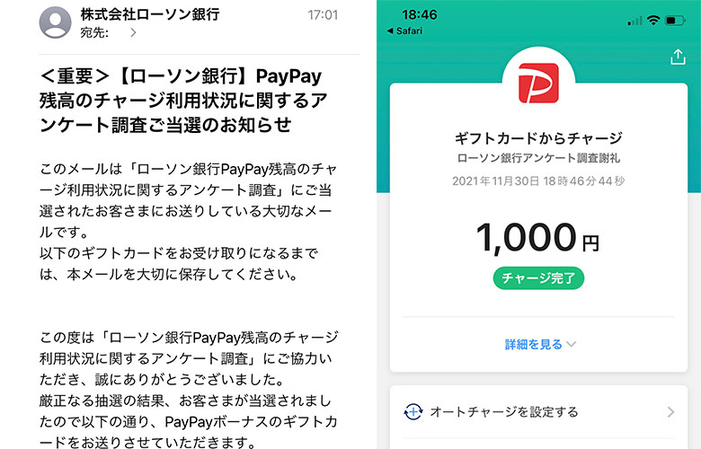 ローソン銀行様 Paypay残高のチャージ利用状況に関するアンケート調査 当選報告 カノンのブタの貯金箱